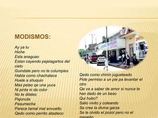 MODISMOS:
Ay ya tu
Hiche
Esta anaguao
Estan cayendo pejelagartos del
cielo
Guindate pero no te columpies
Habla como chachalaca
Huele a shuquio
Mas pelao qe una yuca
Ni pinta ni da color
No te dilates
Pajonuta
Pasumecha
Parece tamal mal envuelto
Qedo como perrito atasteco
Qedo como chinin jugueteado
Pide permiso a un pie pa levantar el
otro
Qe va a saber de amor si nunca te
han dado de un beso
Qui hubo?
Salio vivito y coleando
Se cree la divina garza
Se le olvido el pozol pero no el
 