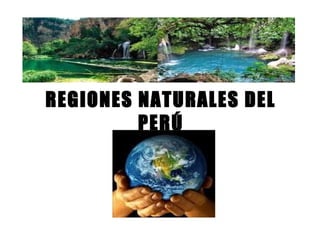 REGIONES NATURALES DEL
PERÚ
 