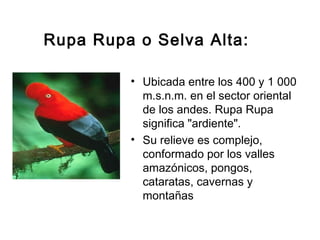 Regiones naturales del Perú | PPT