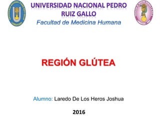 REGIÓN GLÚTEA
Alumno: Laredo De Los Heros Joshua
2016
 