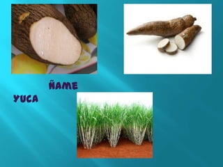 Ñame
Yuca
 