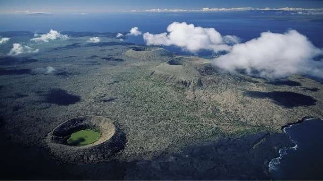 Región insular ecosistemas