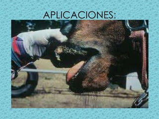 APLICACIONES: