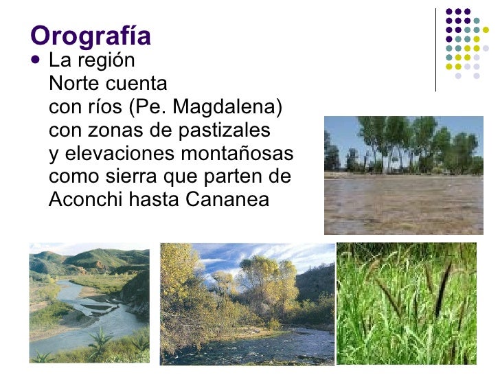 Región norte