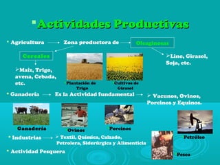 Actividades ProductivasActividades Productivas
 Agricultura Zona productora de
Maíz, Trigo,
avena, Cebada,
etc.
Cereales
Oleaginosas
Lino, Girasol,
Soja, etc.
Plantación de
Trigo
Cultivos de
Girasol
 Ganadería Es la Actividad fundamental  Vacunos, Ovinos,
Porcinos y Equinos.
PorcinosOvinosGanadería
 Industrias  Textil, Química, Calzado,
Petrolera, Siderúrgica y Alimenticia
 Actividad Pesquera
Petróleo
Pesca
 