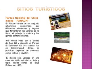 Parque Nacional del Chica
mocha – PANACHI
El Parque consta de un conjunto
urbanístico conformado por
diferentes elementos y lugares
que fomentarán los valores de la
tierra, el paisaje, la cultura y las
gentes santandereanas.
-Rio Fonce Pasa por la ciudad
de San Gil y circunda el Parque
El Gallineral. Es una cuenca rica
en biodiversidad, donde se
practican deportes de aventura,
como rafting y kayakin.
-El museo está ubicado en una
casa de estilo colonial en teja y
tapia pisada donde se alojó
Bolívar en 1828.
 