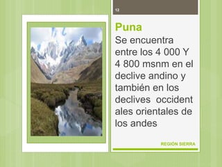 12
REGIÓN SIERRA
Puna
Se encuentra
entre los 4 000 Y
4 800 msnm en el
declive andino y
también en los
declives occident
ales orientales de
los andes
 