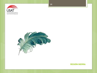 REGIÓN SIERRA
23
 