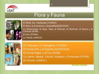 REGIÓN SIERRA
5
Flora y Fauna
El Molle, las Cactaceas (YUNGA)
El Aliso, la Arracacha y Granadilla(QUECHUA)
La Guea-Guea, la Taya- Taya, el Quinuar, el Quichuar, el Sauco y la
Cantuta (SUNI)
El Ichu (PUNA)
La Yareta (JANCA).
El Chaucato y el Taurigaray (YUNGA)
El Zorzal Gris y el Rupche (QUECHUA)
El Zorzal Negro y el Cuy (SUNI)
La Llama, Alpaca, Vicuna, Huanaco y Parihuana (PUNA)
El Cóndor (JANCA.)
 