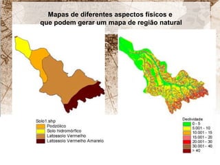 Mapas de diferentes aspectos físicos e 
que podem gerar um mapa de região natural 
 