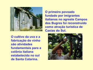   O primeiro povoado fundado por imigrantes italianos no agreste Campos dos Bugres foi reconstruído como atração turística de Caxias do Sul.   O cultivo da uva e a fabricação do vinho são atividades fundamentais para a colônia italiana estabelecida no sul de Santa Catarina.   