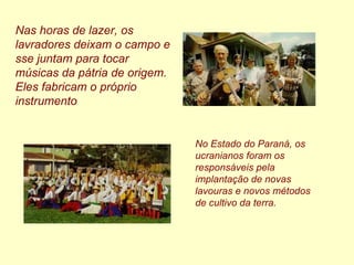 Nas horas de lazer, os lavradores deixam o campo e sse juntam para tocar músicas da pátria de origem.   Eles fabricam o próprio instrumento   No Estado do Paraná, os ucranianos foram os responsáveis pela implantação de novas lavouras e novos métodos de cultivo da terra.   