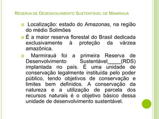 RESERVA DE DESENVOLVIMENTO SUSTENTÁVEL DE MAMIRAUÁ

Localização: estado do Amazonas, na região
do médio Solimões
 É a maior reserva florestal do Brasil dedicada
exclusivamente à proteção da várzea
amazônica.

Marmirauá foi a primeira Reserva de
Desenvolvimento
Sustentável
(RDS)
implantada no país. É uma unidade de
conservação legalmente instituída pelo poder
público, tendo objetivos de conservação e
limites bem definidos. A conservação da
natureza e a utilização de parcela dos
recursos naturais é o objetivo básico dessa
unidade de desenvolvimento sustentável.


 