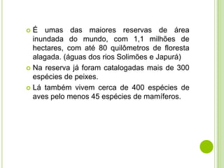 É umas das maiores reservas de área
inundada do mundo, com 1,1 milhões de
hectares, com até 80 quilômetros de floresta
alagada. (águas dos rios Solimões e Japurá)
 Na reserva já foram catalogadas mais de 300
espécies de peixes.
 Lá também vivem cerca de 400 espécies de
aves pelo menos 45 espécies de mamíferos.


 