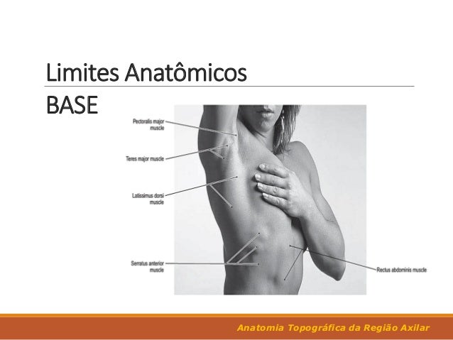 Anatomia Topográfica da Região Axilar