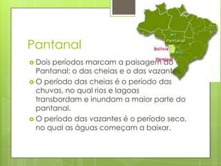 Pantanal
 Dois períodos marcam a paisagem do
Pantanal: o das cheias e o das vazantes.
 O período das cheias é o período das
chuvas, no qual rios e lagoas
transbordam e inundam a maior parte do
pantanal.
 O período das vazantes é o período seco,
no qual as águas começam a baixar.
 