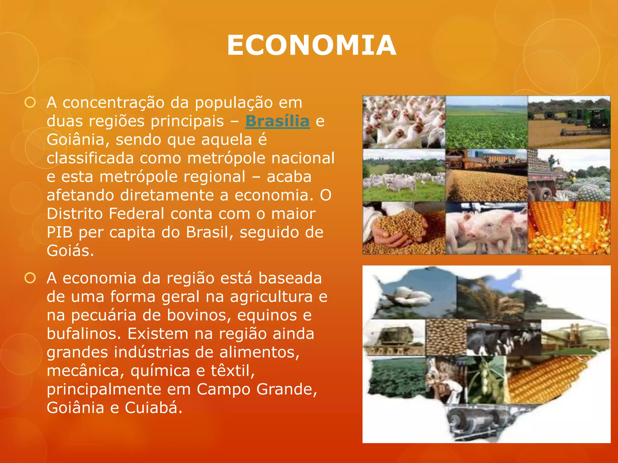 Região centro oeste | PPTX