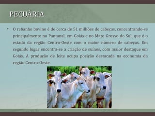 PECUÁRIAPECUÁRIA
• O rebanho bovino é de cerca de 51 milhões de cabeças, concentrando-se
principalmente no Pantanal, em Goiás e no Mato Grosso do Sul, que é o
estado da região Centro-Oeste com o maior número de cabeças. Em
segundo lugar encontra-se a criação de suínos, com maior destaque em
Goiás. A produção de leite ocupa posição destacada na economia da
região Centro-Oeste.
 