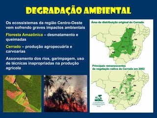 Degradação ambiental
Os ecossistemas da região Centro-Oeste
vem sofrendo graves impactos ambientais
Floresta Amazônica – desmatamento e
queimadas
Cerrado – produção agropecuária e
carvoarias
Assoreamento dos rios, garimpagem, uso
de técnicas inapropriadas na produção
agrícola
 
