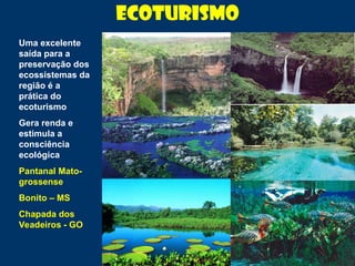 Ecoturismo
Uma excelente
saída para a
preservação dos
ecossistemas da
região é a
prática do
ecoturismo
Gera renda e
estimula a
consciência
ecológica
Pantanal Mato-
grossense
Bonito – MS
Chapada dos
Veadeiros - GO
 