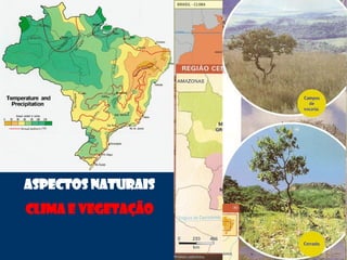 ASPECTOS NATURAIS
CLIMA E VEGETAÇÃO
 