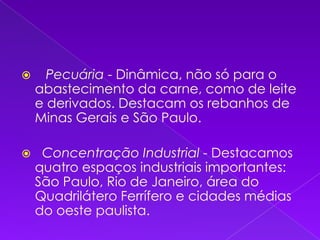    Pecuária - Dinâmica, não só para o abastecimento da carne, como de leite e derivados. Destacam os rebanhos de Minas Gerais e São Paulo.   Concentração Industrial - Destacamos quatro espaços industriais importantes: São Paulo, Rio de Janeiro, área do Quadrilátero Ferrífero e cidades médias do oeste paulista. 