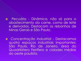    Pecuária - Dinâmica, não só para o abastecimento da carne, como de leite e derivados. Destacam os rebanhos de Minas Gerais e São Paulo.   Concentração Industrial - Destacamos quatro espaços industriais importantes: São Paulo, Rio de Janeiro, área do Quadrilátero Ferrífero e cidades médias do oeste paulista. 
