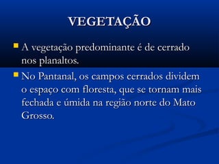 VEGETAÇÃO
A vegetação predominante é de cerrado
nos planaltos.
 No Pantanal, os campos cerrados dividem
o espaço com floresta, que se tornam mais
fechada e úmida na região norte do Mato
Grosso.


 