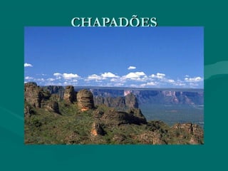 CHAPADÕES

 