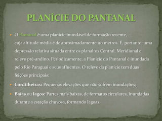  O Pantanal é uma planície inundável de formação recente,
cuja altitude média é de aproximadamente 110 metros. É, portanto, uma
depressão relativa situada entre os planaltos Central, Meridional e
relevo pré-andino. Periodicamente, a Planície do Pantanal é inundada
pelo Rio Paraguai e seus afluentes. O relevo da planície tem duas
feições principais:
 Cordilheiras: Pequenas elevações que não sofrem inundações;
 Baías ou lagos: Partes mais baixas, de formatos circulares, inundadas
durante a estação chuvosa, formando lagoas.
 