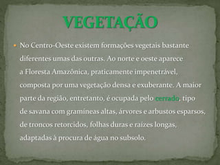  No Centro-Oeste existem formações vegetais bastante
diferentes umas das outras. Ao norte e oeste aparece
a Floresta Amazônica, praticamente impenetrável,
composta por uma vegetação densa e exuberante. A maior
parte da região, entretanto, é ocupada pelo cerrado, tipo
de savana com gramíneas altas, árvores e arbustos esparsos,
de troncos retorcidos, folhas duras e raízes longas,
adaptadas à procura de água no subsolo.
 