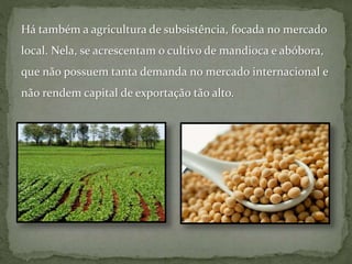 Há também a agricultura de subsistência, focada no mercado
local. Nela, se acrescentam o cultivo de mandioca e abóbora,
que não possuem tanta demanda no mercado internacional e
não rendem capital de exportação tão alto.
 