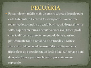  Possuindo em média mais de quatro cabeças de gado para
cada habitante, o Centro-Oeste dispõe de um enorme
rebanho, destacando-se o gado bovino, criado geralmente
solto, o que caracteriza a pecuária extensiva. Esse tipo de
criação dificulta o aproveitamento do leite e, assim,
praticamente todo o rebanho é destinado ao corte e
absorvido pelo mercado consumidor paulista e pelos
frigoríficos do oeste do estado de São Paulo. Apenas no sul
da região é que a pecuária leiteira apresenta maior
expressão.
 