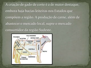 A criação de gado de corte é a de maior destaque,
embora haja bacias leiteiras nos Estados que
compõem a região. A produção de carne, além de
abastecer o mercado local, supre o mercado
consumidor da região Sudeste.
 