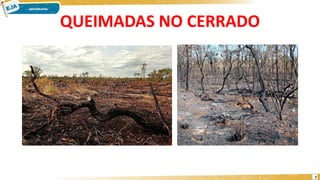 QUEIMADAS NO CERRADO
7
 
