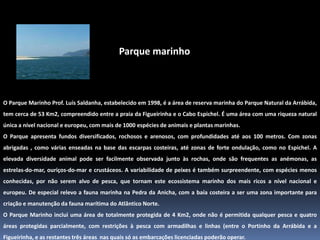     Parque marinhoO Parque Marinho Prof. Luís Saldanha, estabelecido em 1998, é a área de reserva marinha do Parque Natural da Arrábida, tem cerca de 53 Km2, compreendido entre a praia da Figueirinha e o Cabo Espichel. É uma área com uma riqueza natural única a nível nacional e europeu, com mais de 1000 espécies de animais e plantas marinhas.O Parque apresenta fundos diversificados, rochosos e arenosos, com profundidades até aos 100 metros. Com zonas abrigadas , como várias enseadas na base das escarpas costeiras, até zonas de forte ondulação, como no Espichel. A elevada diversidade animal pode ser facilmente observada junto às rochas, onde são frequentes as anémonas, as estrelas-do-mar, ouriços-do-mar e crustáceos. A variabilidade de peixes é também surpreendente, com espécies menos conhecidas, por não serem alvo de pesca, que tornam este ecossistema marinho dos mais ricos a nível nacional e europeu. De especial relevo a fauna marinha na Pedra da Anicha, com a baía costeira a ser uma zona importante para criação e manutenção da fauna marítima do Atlântico Norte. O Parque Marinho inclui uma área de totalmente protegida de 4 Km2, onde não é permitida qualquer pesca e quatro áreas protegidas parcialmente, com restrições à pesca com armadilhas e linhas (entre o Portinho da Arrábida e a Figueirinha, e as restantes três áreas  nas quais só as embarcações licenciadas poderão operar.