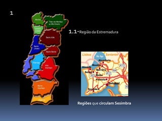1 1.1-Região da Estremadura Regiões que circulam Sesimbra 