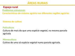 ÁREAS RURAIS
Espaço rural
Problemas estruturais
Características do sistema agrário nas diferentes regiões agrárias
Sistema de cultivo
Policultura
Cultura de mais do que uma espécie vegetal, na mesma parcela
agrícola
Monocultura
Cultivo de uma só espécie vegetal numa parcela agrícola.
 
