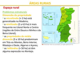 ÁREAS RURAIS
Espaço rural
Problemas estruturais
Dimensão da propriedade
• o microfúndio (< 2 ha) está
generalizado na Madeira;
• o minifúndio (2 a 4,9 ha) é mais
frequente no Litoral Norte e Centro
(regiões de Entre Douro e Minho e da
Beira Litoral);
• as propriedades de média
dimensão (5 a 10 ha) predominam
em Trás-os-Montes, Beira Interior,
Ribatejo e Oeste, Algarve e Açores;
• os latifúndios (> 50 ha) só têm
alguma expressão no Alentejo.
 