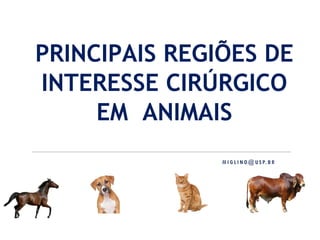 PRINCIPAIS REGIÕES DE
INTERESSE CIRÚRGICO
EM ANIMAIS
 