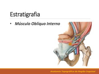 Anatomia Topográfica da Região Inguinal
Estratigrafia
 