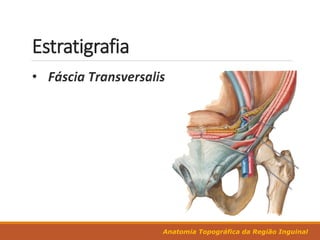 Anatomia Topográfica da Região Inguinal
Estratigrafia
 