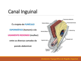 Anatomia Topográfica da Região Inguinal
Canal Inguinal
É o trajeto do FUNÍCULO
ESPERMÁTICO (homem) e do
LIGAMENTO REDONDO (mulher)
entre as diversas camadas da
parede abdominal.
 