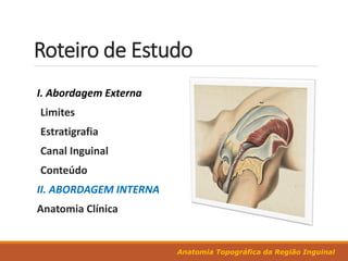 Roteiro de Estudo
Anatomia Topográfica da Região Inguinal
I. Abordagem Externa
Limites
Estratigrafia
Canal Inguinal
Conteúdo
II. ABORDAGEM INTERNA
Anatomia Clínica
 