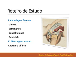 Roteiro de Estudo
Anatomia Topográfica da Região Inguinal
I. Abordagem Externa
Limites
Estratigrafia
Canal Inguinal
Conteúdo
II. Abordagem Interna
Anatomia Clínica
 