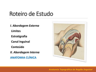 Roteiro de Estudo
Anatomia Topográfica da Região Inguinal
I. Abordagem Externa
Limites
Estratigrafia
Canal Inguinal
Conteúdo
II. Abordagem Interna
ANATOMIA CLÍNICA
 