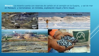 Minería: La minería cuenta con reservas de carbón en el cerrejón en la Guajira, y sal de mar
en Manaure y Cerromatoso en Córdoba, explotación níquel y ferro níquel.
Cerrejón Salinas de Manaure
Cerromatoso
Niquel
 
