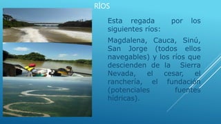 RÍOS
Esta regada por los
siguientes ríos:
Magdalena, Cauca, Sinú,
San Jorge (todos ellos
navegables) y los ríos que
descienden de la Sierra
Nevada, el cesar, el
ranchería, el fundación
(potenciales fuentes
hídricas).
 