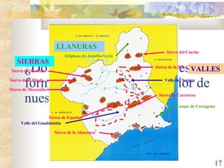 ¿Dónde podemos encontrar estas formas de relieve en el interior de nuestra región? SIERRAS Sierra de Moratalla Sierra de la Muela Sierra del Gavilán Sierra del Carche Sierra de la Pila Sierra de Espuña Sierra de Carrascoy Sierra de la Almenara VALLES Valle del Segura Valle del Guadalentín LLANURAS Altiplano de Jumilla-Yecla Campo de Cartagena 