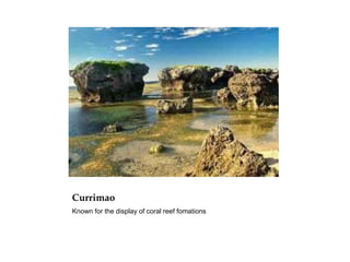 Currimao
Known for the display of coral reef fomations
 